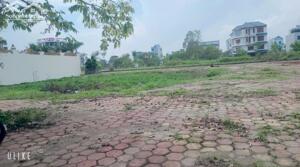 Bán lô đất TMDV góc 3 mặt tiền khu Trường Thịnh, ph Tứ Minh, TP HD, 800m2, giá tốt