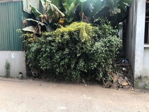 đường ô tô tránh, lá phổi xanh của thanh trì( yên mỹ): bán đất 60m*4,1m, đường thông, nhỉnh 7 tỉ.