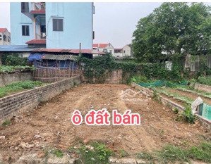 dt:63m .sổ đẹp chính chủ .xuân bách quang tiến -sóc sơn .vị trí đắc địa