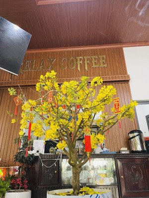 cần bán lô đất huỳnh văn nghệ, nơi tập trung các trường đại học đà nẵng