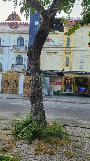 bán bán khách sạn trảng kèo 21 phòng hội an