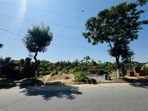 bán lô đường 10.5m trần tử bình view công viên - hoà xuân