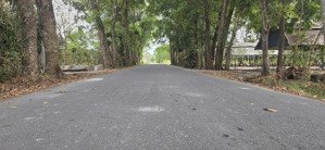 bán gấp đất tại hắc dịch - tóc tiên,mỹ xuân ngãi giao, vành đai 4,chỉ 49 tỷ, 5500 m2