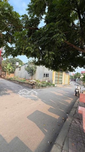 khai xuân mở bán lô góc vàng trung tâm lô góc 97,5m tại trung tâm phường phúc yên, phú thọ