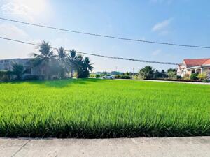 Bán nền thổ 5x32 2 mt trước và sau, bê tông rộng rãi 6m cách Cao Thị Mai 200m tại Xã Tân Trụ Tỉnh Tây Ninh