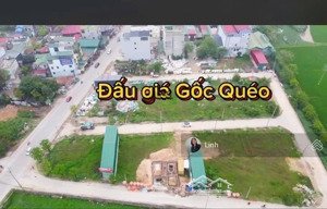 chính chủ bán gấp lô góc đất đấu giá gốc quéo hồng dương thanh oai trục chính - kinh doanh