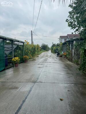 Bán đất thổ 5x40 mt Nguyễn Văn Vịnh 6m gần 2 cụm KCN thuộc Xã Tân Trụ Tỉnh Tây Ninh