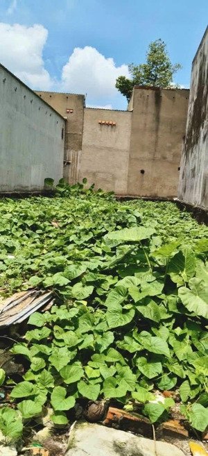 chủ cần bán gấp lô đất giá đầu tư 138m2 giá chỉ 4 tỷ 5.