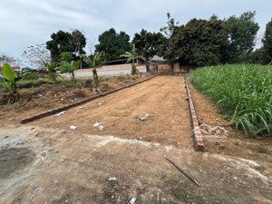 bán đất tại hướng đạo, tam dương, vĩnh phúc, giá thỏa thuận, 105m2, cách dt309 100m, gần kcn