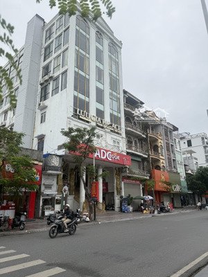 cho thuê tòa nhà mặt đường lạch tray vị trí kinh doanh đỉnh cao tuyến phố sầm uất bậc nhất hp