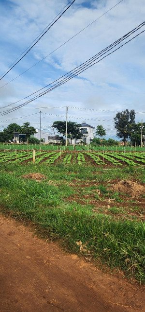 bán đất tại tutra đơn dương lâm đồng 268m2