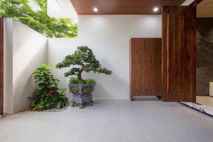 một ngôi nhà lý tưởng, không gian cây xanh mát mẻ
siêu phẩm 3 tầng lh 