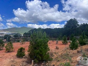 bán lô liền kế đẹp tại kđt vạn xuân chỉ 3,6 tỷ lạc dương giá tốt nhất hiện tại.