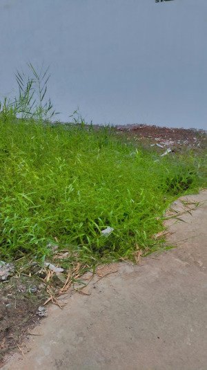 chính chủ cần ra lô đất hẻm 4m đường cồng đồng lộc trung. 380tr/ 125m2. liên hệ đi xem trực tiếp