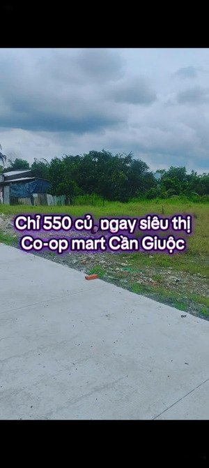 550tr/ 115m2. ngay siêu thị coop mart cần giuộc.sổ sẵn mặt tiền đường đan. alo đi xem đất trực tiếp