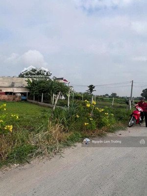 tôi cần lô đất nằm ngay tân kim cần giuộc cách quốc lộ 50 diện tích 100m2 sổ hồng riêng full thổ