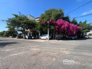 bán lô góc rộng 500 m2 tại ninh chử, 26 tỷ, ngõ rộng 12 m, cách biển vài bước chân.