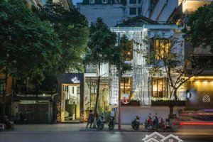 chính chủ cho thuê biệt thự mặt tiền khu tân định quận 1.