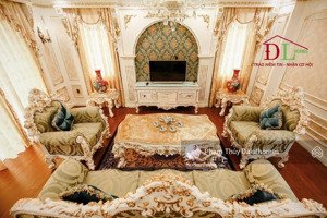 biệt thự đôi mặt tiền yết kiêu, dã tượng phong cách hoàng gia