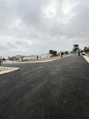 bán đất ngay sát mặt đường 403 ( cách kcn đồ sơn 300m ). đường trải nhựa cực đẹp.