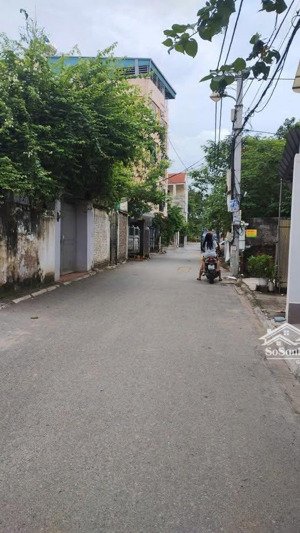 bán đất trâu quỳ hàng hiếm, giá tốt, đầu tư an toàn, sinh lời bền vững, thanh khoản nhanh