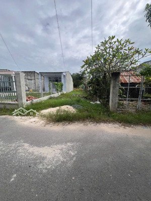 bán gấp đất full thổ shr dương thị yêm, xã thái mỹ, củ chi