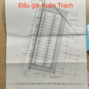 cần chuyển nhượng 80m2 đấu giá xuân trạch, bìa triển lãm quốc gia, đầu cầu tứ liên