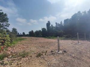 chính chủ cho thuê 21x97m 1/ tl10 cách tl10 700m