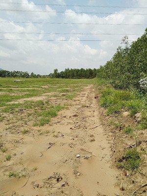 bán đất tại xã tân lập, huyện hàm thuận nam, bình thuận, giá cực chất 25 tỷ vnd, 100000 m2