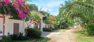 bán 4700m2 view biển khu phố 3 nguyễn đình chiểu, hàm tiến - gần ranh sun group - giá 3 triệu/m2