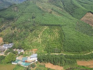 bán nhanh thửa đất phù hợp làm nghỉ dưỡng