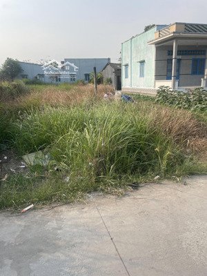 bán đất 158m2 cách tỉnh lộ 835 1km giá 620tr mặt tiền 5m đường xe hơi. mỹ lộc cần giuộc