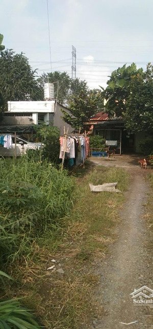 bán đất cây trồng 4x20m chỉ 305tr đường nguyễn kim cương chính chủ ccvb