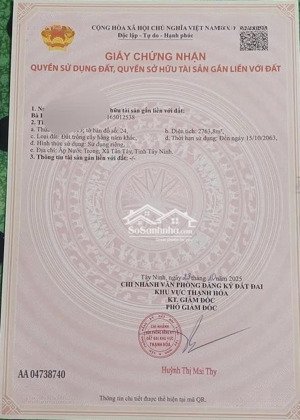 bán đất nhựa nhánh quốc lộ 62, thủy đông, thạnh hóa, long an, 19,6 tỷ, 12253,1 m2