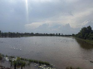 bán đất 20,000m2, giá 33 tỷ tại xã thủy đông, huyện thạnh hóa, long an