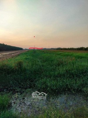 bán đất tại thủy đông, thạnh hóa, long an, 16 tỷ, 9697 m2