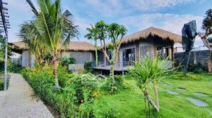 bán căn nhà vườn 877m2 full thổ cư phường tân triều đang khai thác dòng tiền giá 10 tỷ 990tr (tl)