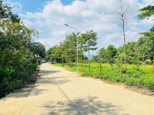 CHỦ LO NGẠI NGÂN HÀNG TĂNG LÃI SUẤT CẦN THANH KHOẢN NHANH CÁC LÔ.