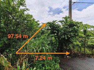 thanh lý gấp 1314m2 đất sẵn 300m2 thổ, mt 7m, xe hơi tiếp cận, châu đức brvt