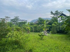 đất f0 rẻ nhất hoà lạc chủ cần bán gấp