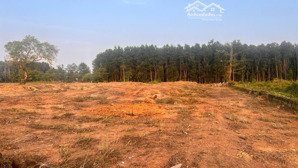 bán đất long thành, diện tích 70m2, sẵn sổ giao dịch ngay, đường ô tô tránh