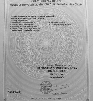 bán đất 225m2 tại ấp mới 1, mỹ hạnh nam, 2,35 tỷ