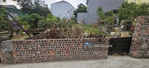 đất vàng do hạ, tiền phong đường thông ô tô - lõi kđt bắc thăng long urban city