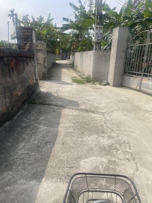 chính chủ cần tiền bán đất đẹp phú dư