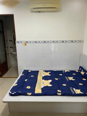 cần cho thuê căn hộ 3pn tại chung cư nguyễn phúc nguyên quận 3