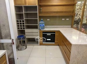 cần bán gấp căn hộ the flemington - q11 - dt 218m2