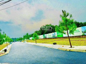 hòa lạc không còn là kỳ vọng". mà đã trở thành điểm đến của dòng tiền thông minh.