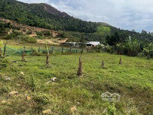 bán đất thôn xuân thọ, xuân sơn, vạn ninh 187,6m đất ở nông thôn, giá dưới 1 tỷ, đường đất 3m