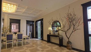 bán villa trần khánh dư 366m² 2 tầng - 185 tỷ - biệt thự sân vườn kiến trúc pháp quận 1