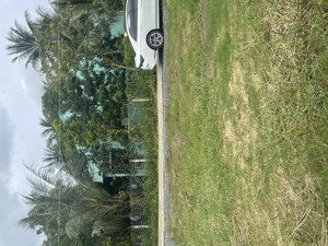 bán đất tại quốc lộ 50,tân trung, gò công, 390 triệu, 183 m2, pháp lý đầy đủ, cách chợ xã lớii 500m